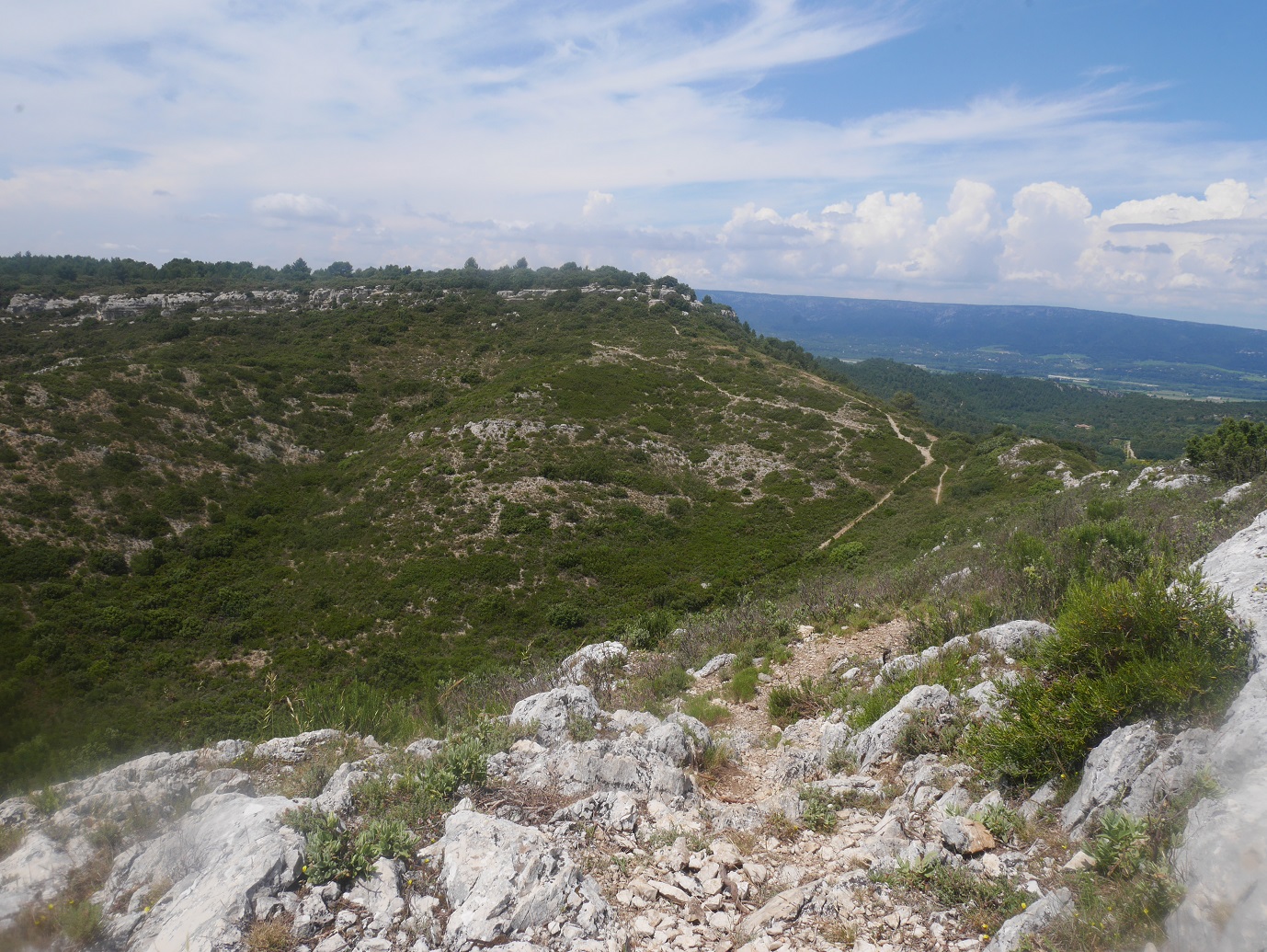 67-Vue sur le plateau de Sèze