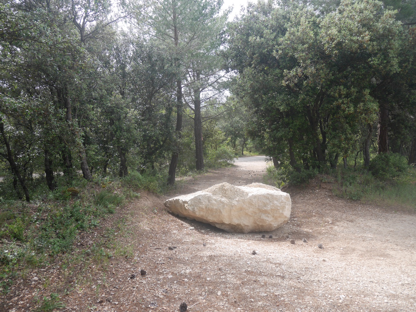 77-Allez, on retrouve le chemin des Taillades, on y est presque