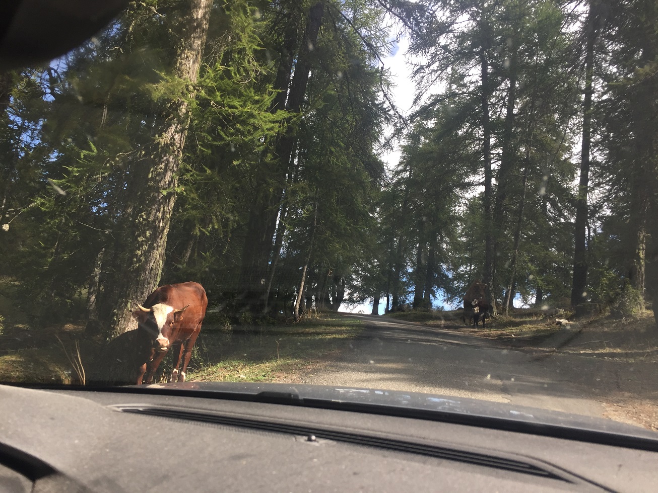 8-Pendant ce temps-là les supporters montent en voiture..