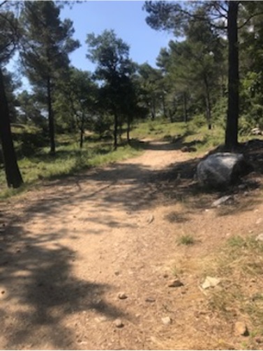 2-Arrivée en haut de la célèbre "Montée d'Ana", si chère à notre ami Assef ;)