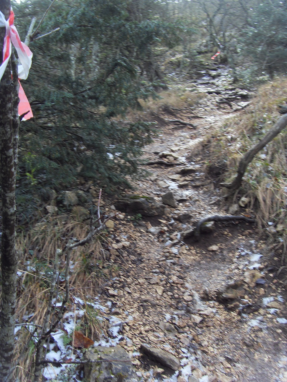 20-Sur les 3 parcours, avec de telles montées, faut être un peu givré..