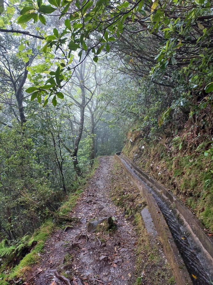 63-Seb' longe sa dernière levada, il n'est plus trop loin