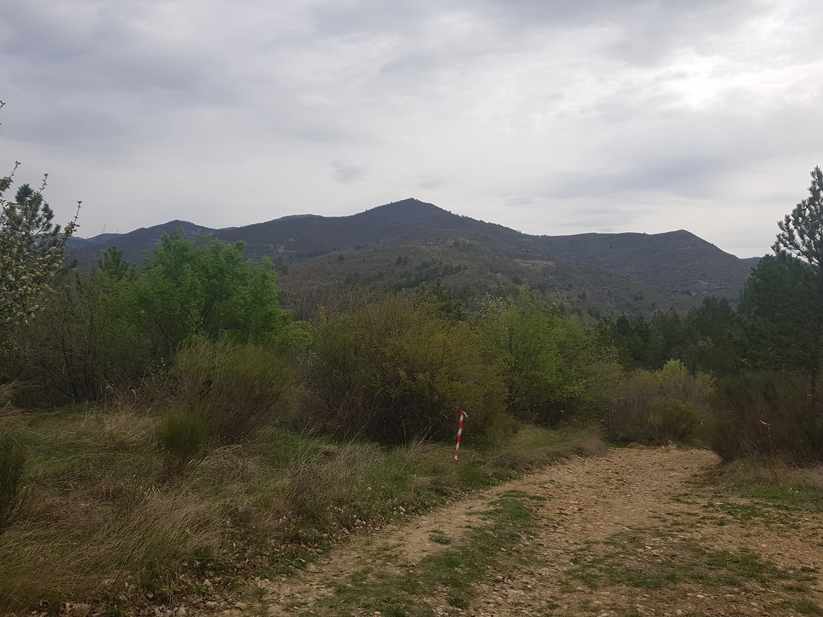 1-Preuve en images: je fais du trail..!