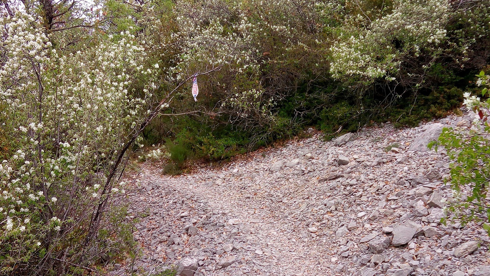 42-Place à une rapide descente de 7kms pour finir..