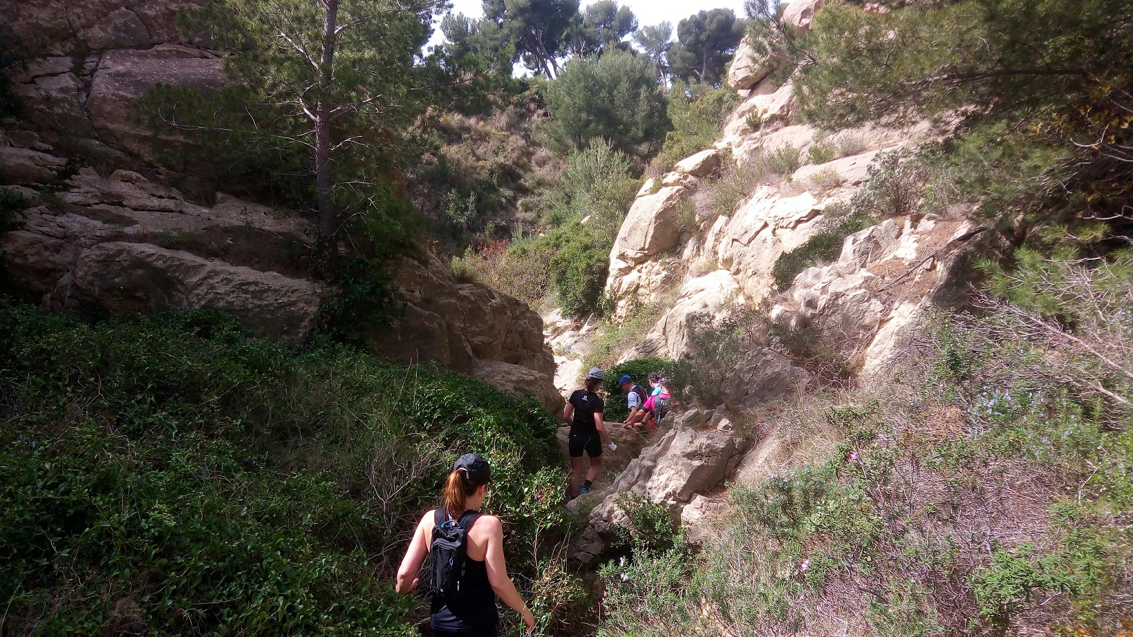 13-On serpente à travers des gorges