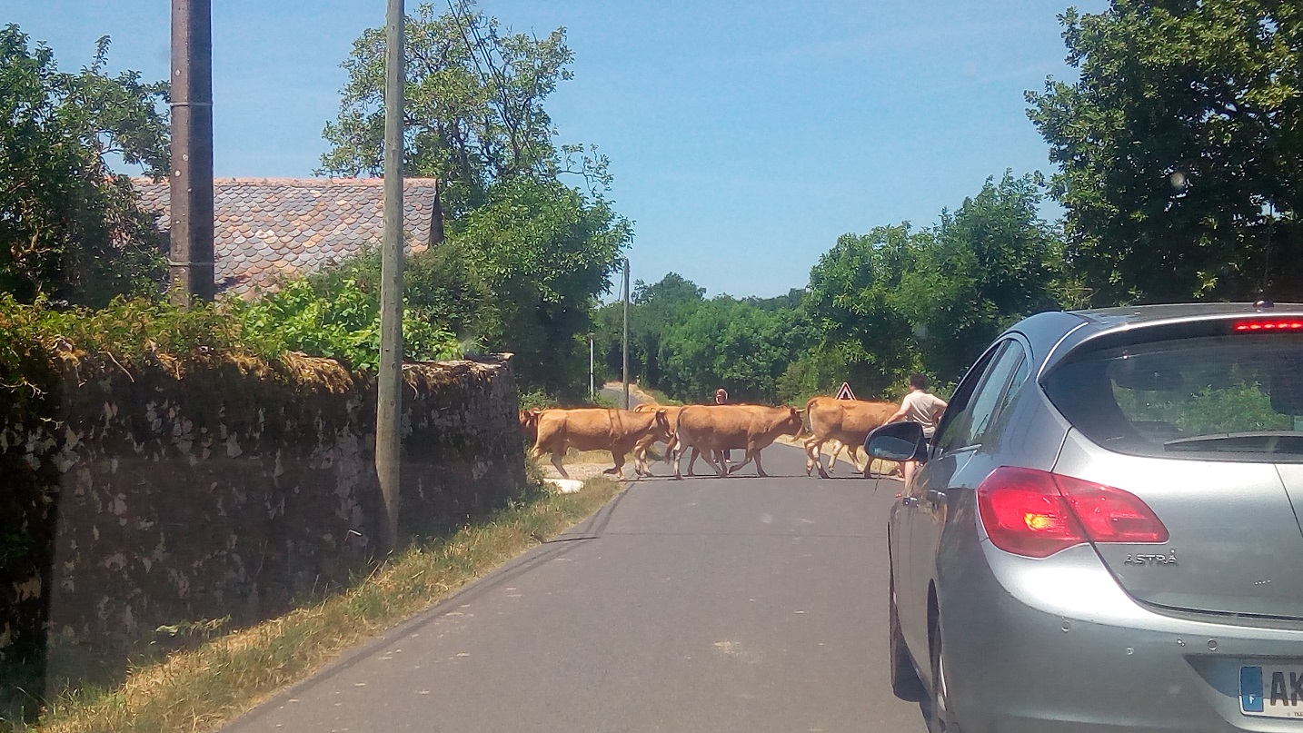 3-Aah le Cantal