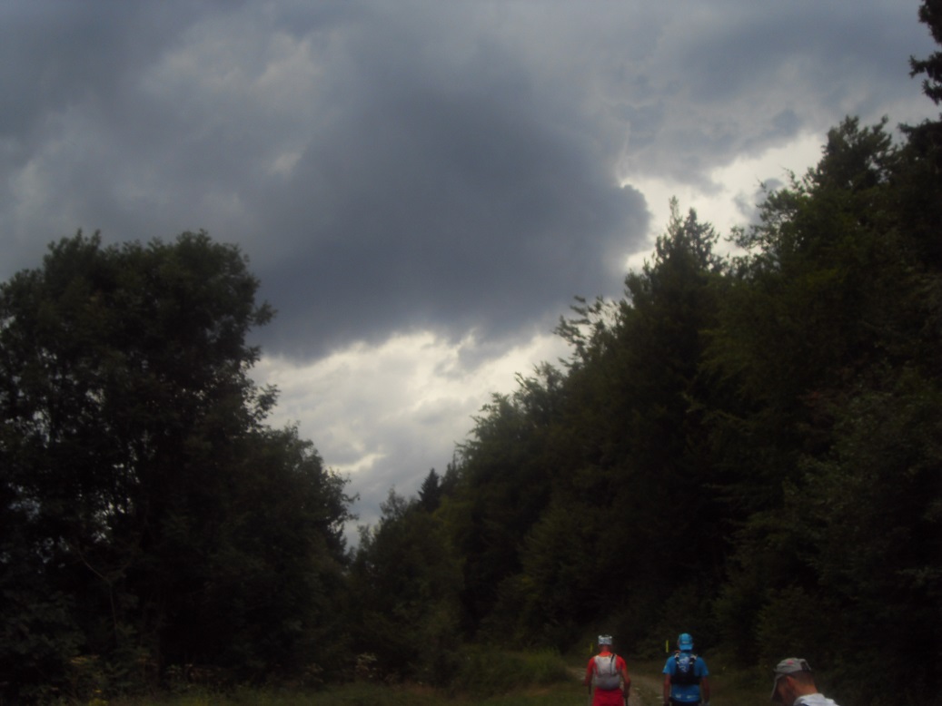 38-Les 2 Taureaux, eux, voient l'orage arriver.. (18août 17h)