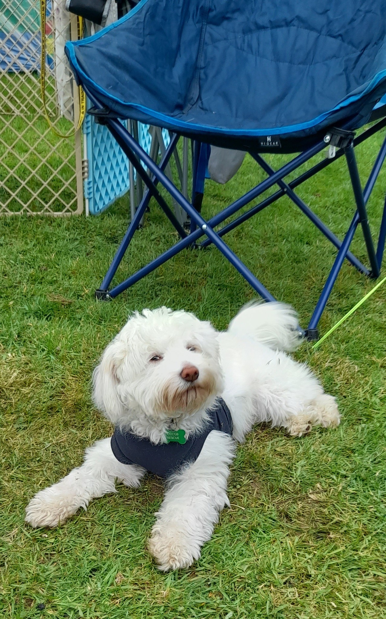 1 month in rescue - Camping