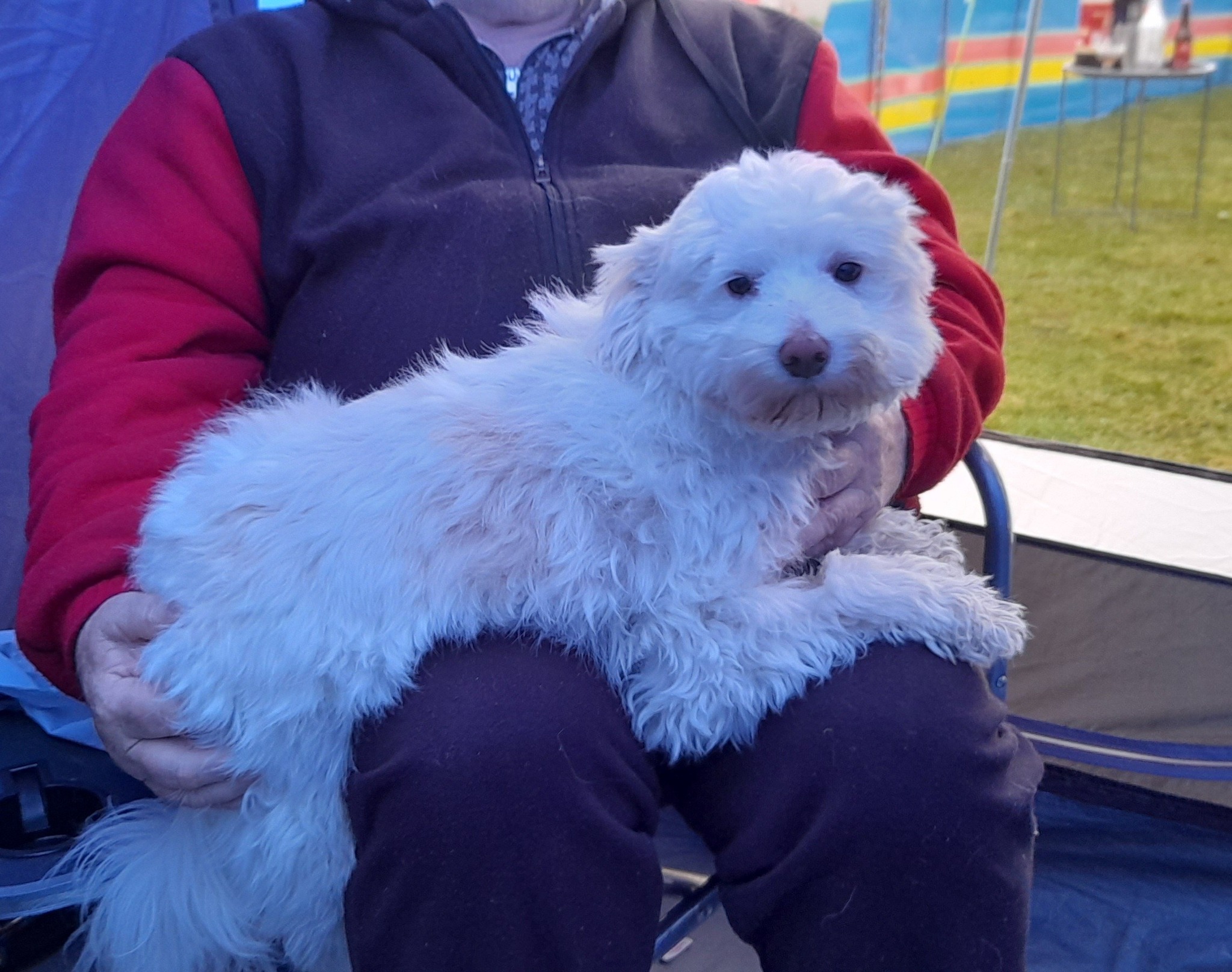 1 month in rescue - Camping