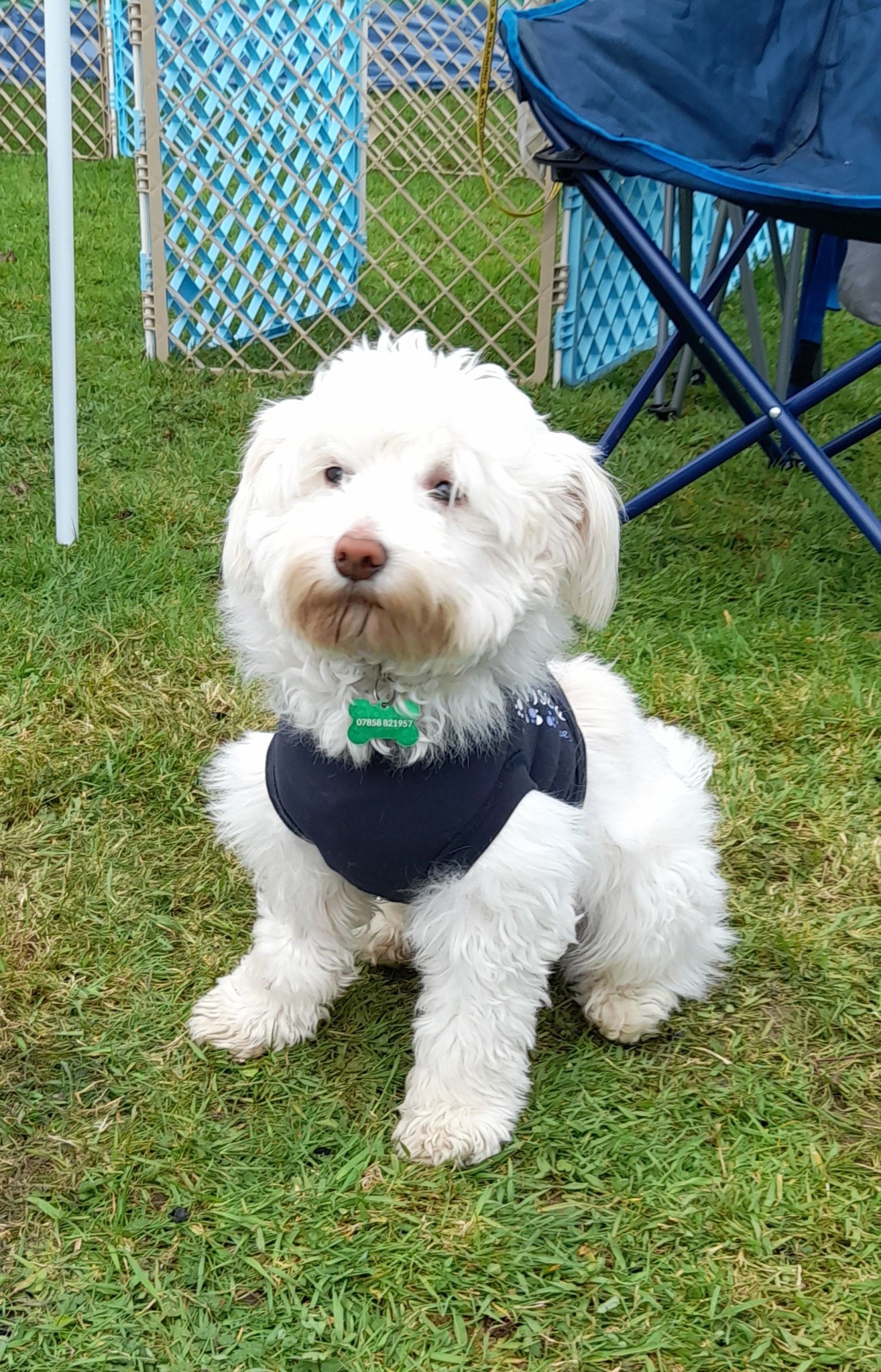 1 month in rescue - Camping