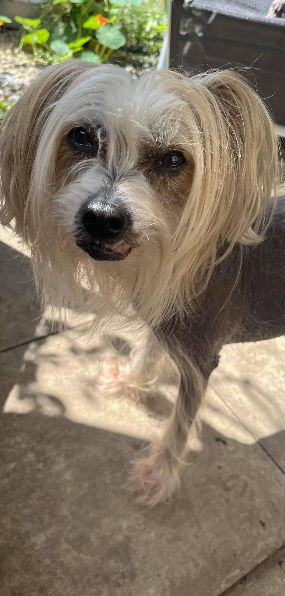 15. Coco
