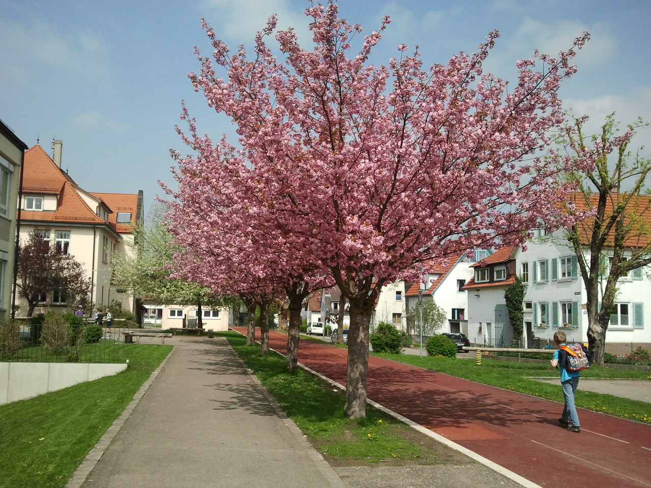 Schulgelände mit Tartanbahn und Kirschbäumen