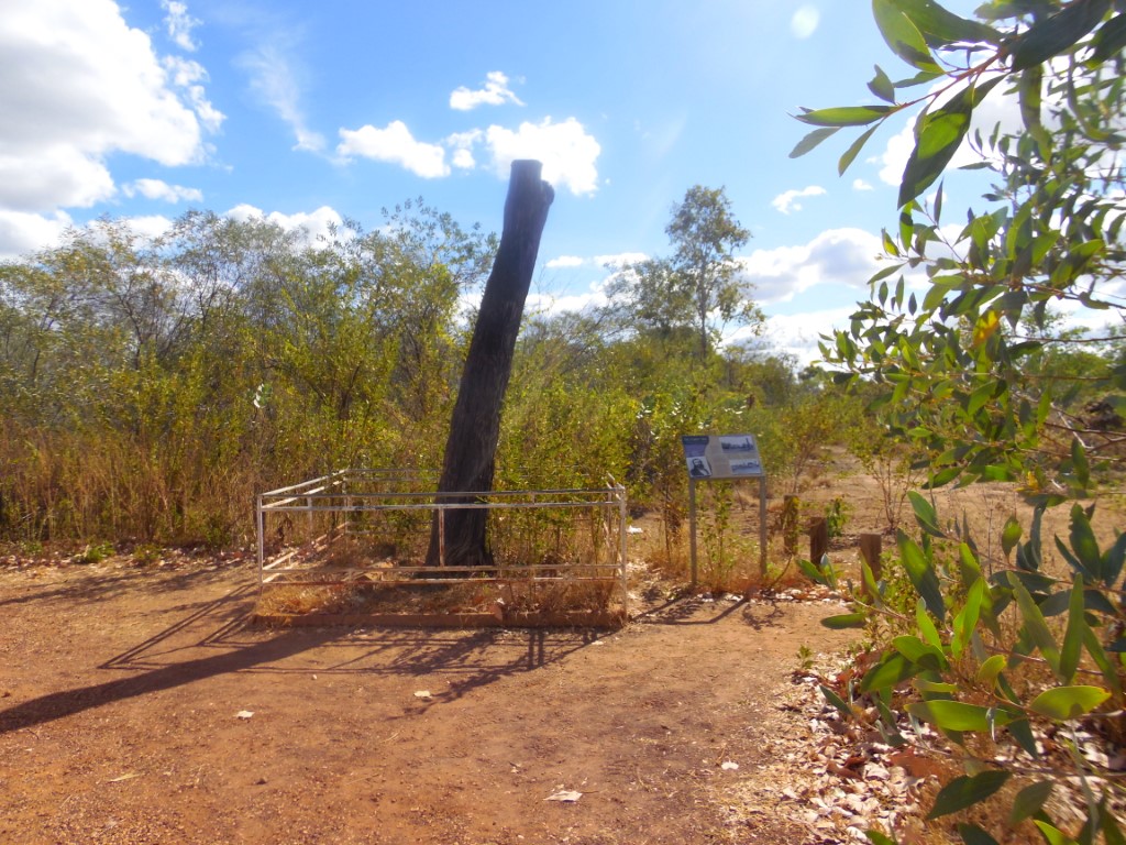 Australien, Northern Territory, Stuart Highway, Daly Waters, Tree