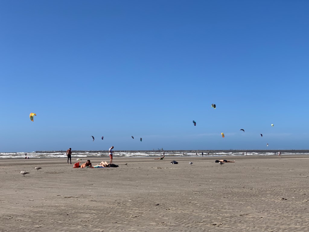 Niederlande, Holland, Amsterdam, Strand, Ijmuiden, Nordsee, baden, Kite surfing, 