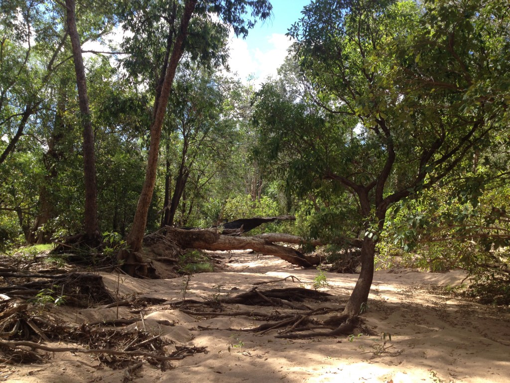 Australien, Northern Territory, Kakadu National Park, Gunlom Falls, Yurmikmik Walks, Bullabong