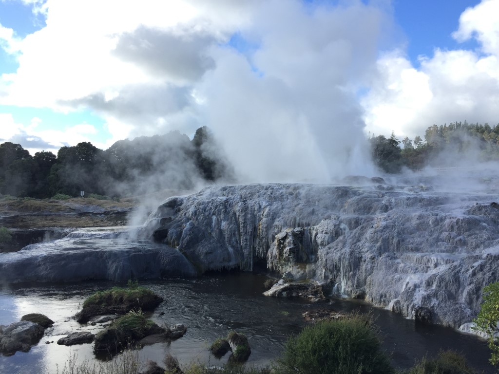 Te Puia - Geysir Pohutu