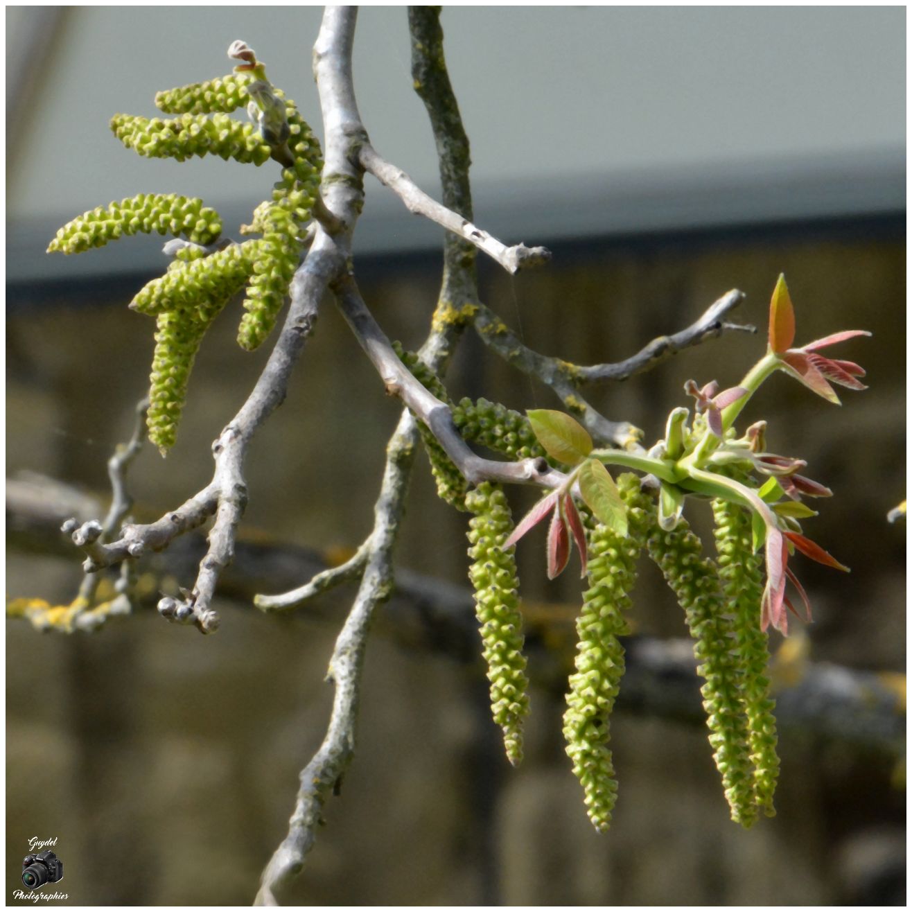 Des nouvelles de Dame Nature !