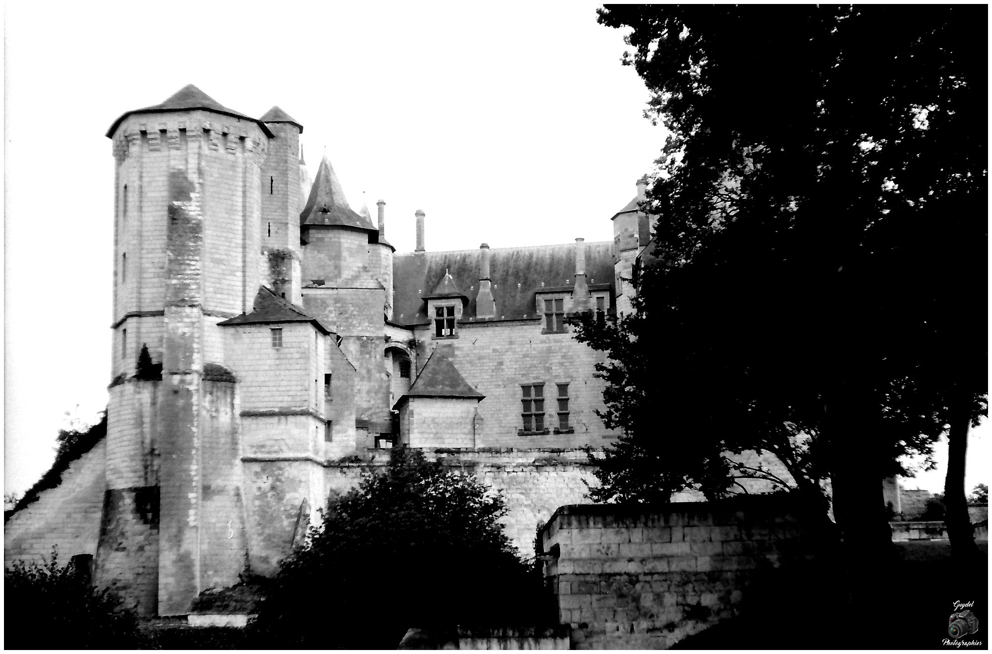 Balade à Saumur (49)