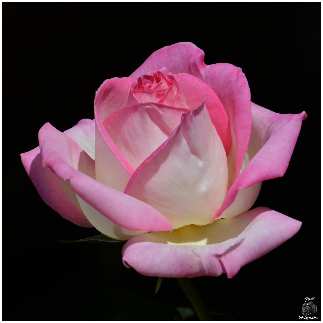 Princesse de Monaco