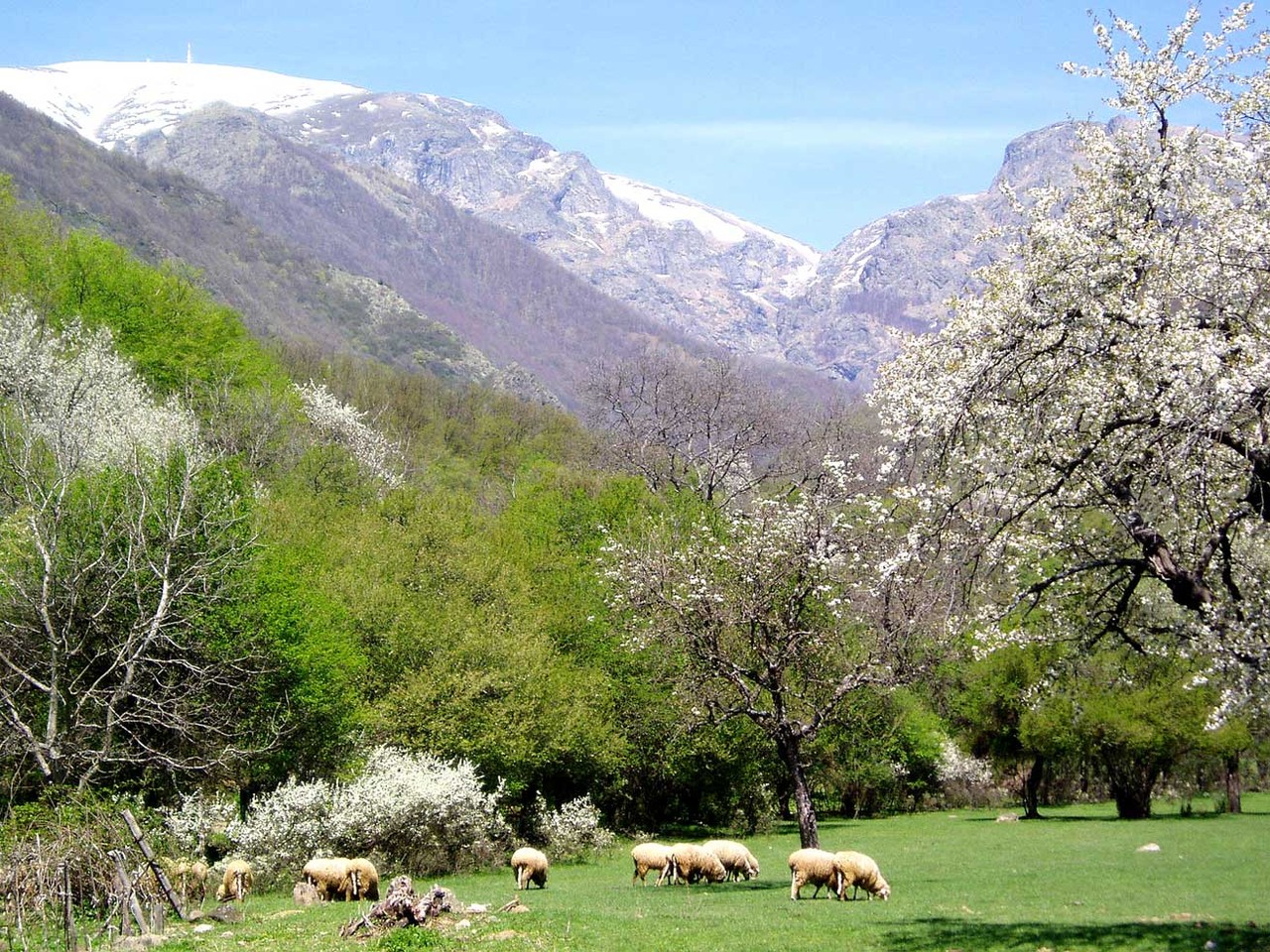 11. 12. Tag Rosental und thrakische Grabstätten TACT Reisen in