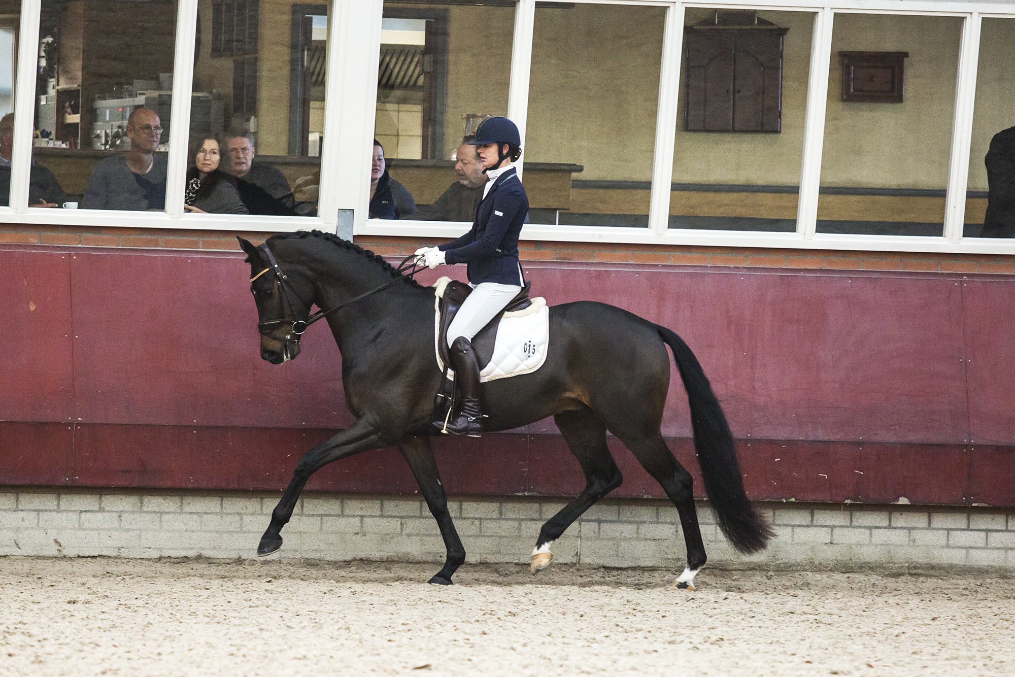 17-11-19 KWPN ZH Dressage cup