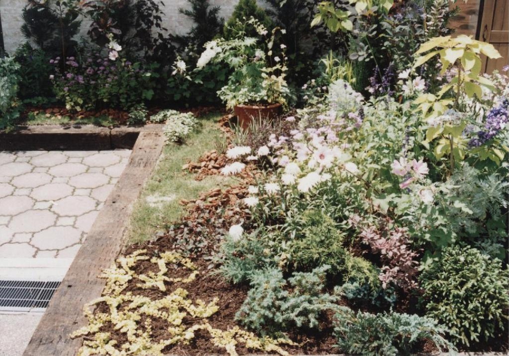 花フェスタ記念公園　１９９８年