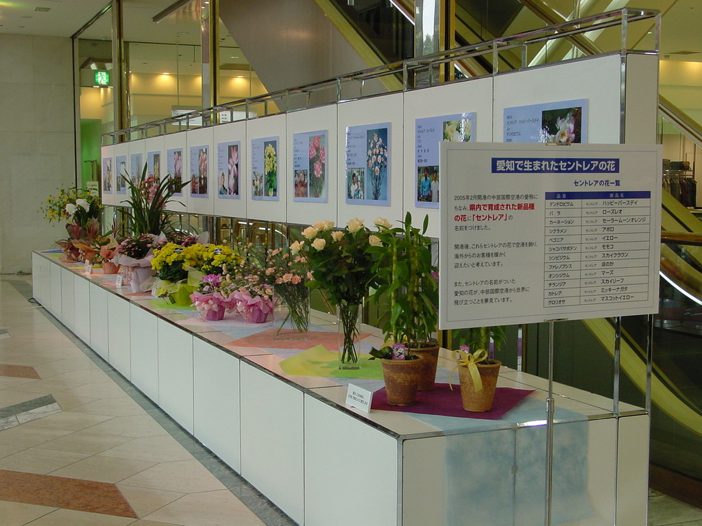 セントレア展（松坂屋オルガン広場　２００３年）