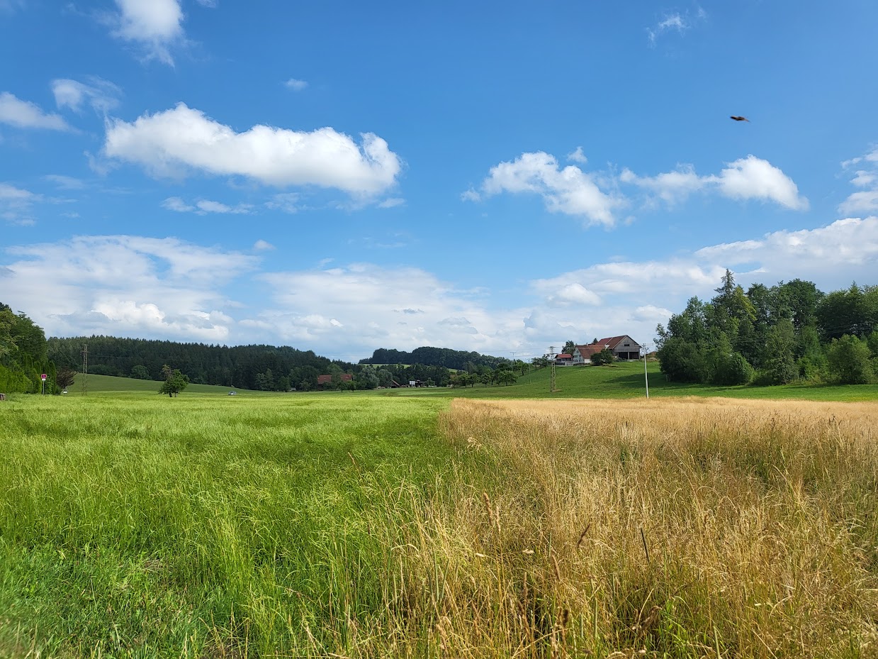 Wangen im Allgäu