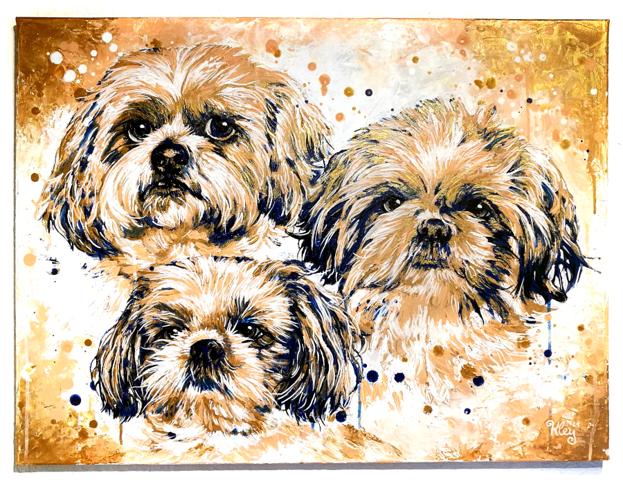 Shi Tzu Hunde Portrait gemalt Acrylfarbe auf Leinwand Goldfarbe