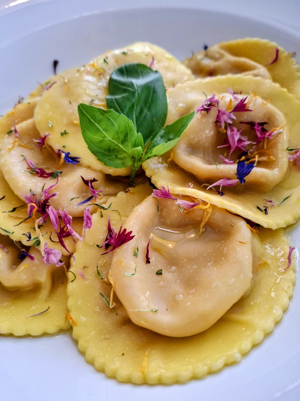 Tomaten- Burrata Ravioli an Basilikumöl und Alpenkräuter