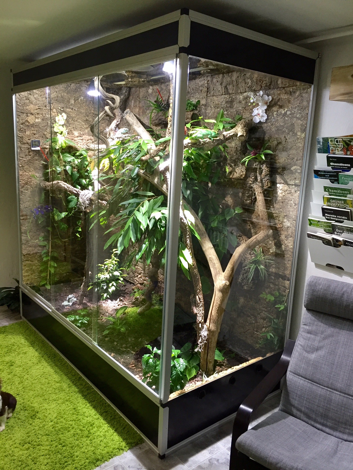 unsere Terrarien Alles über die bunte Welt der Chamäleons