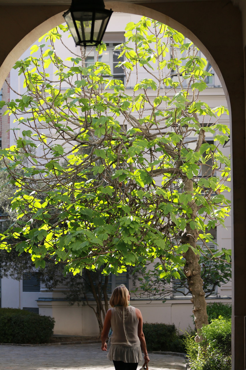 Paris Photo64