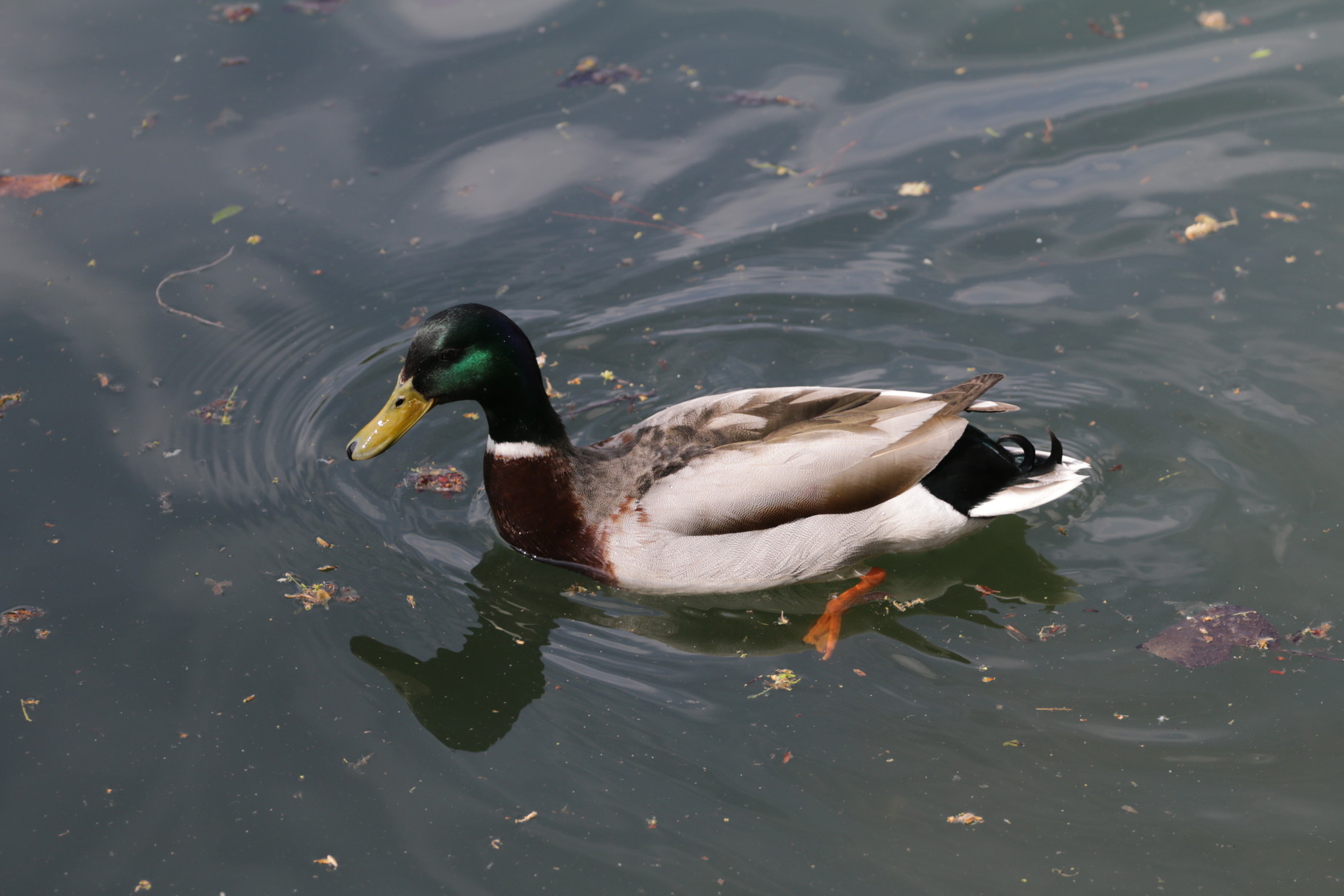Paris Photo172