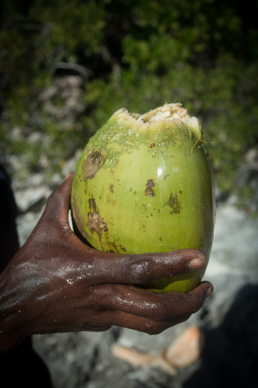 Bahamas Photo10