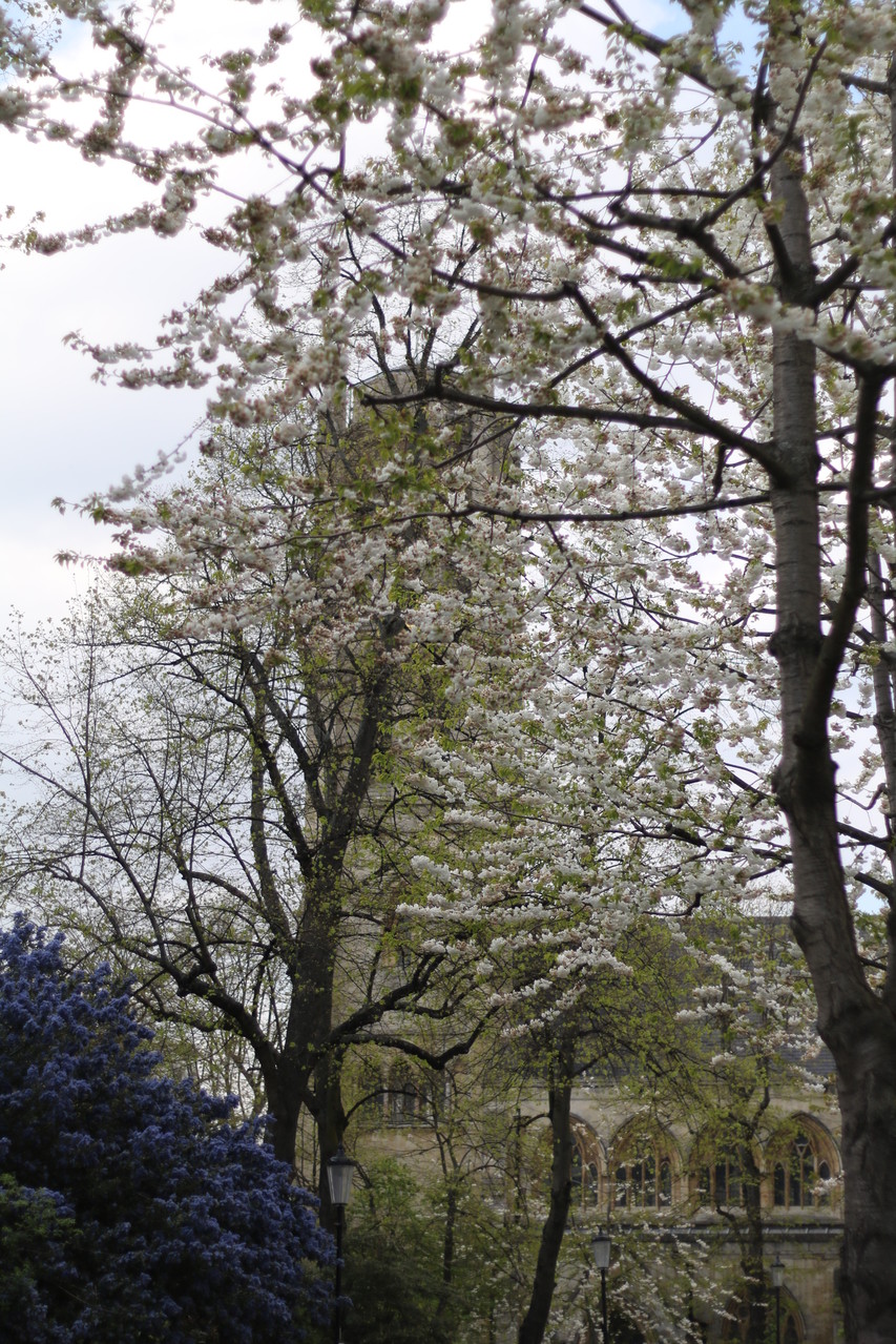 London Photo63