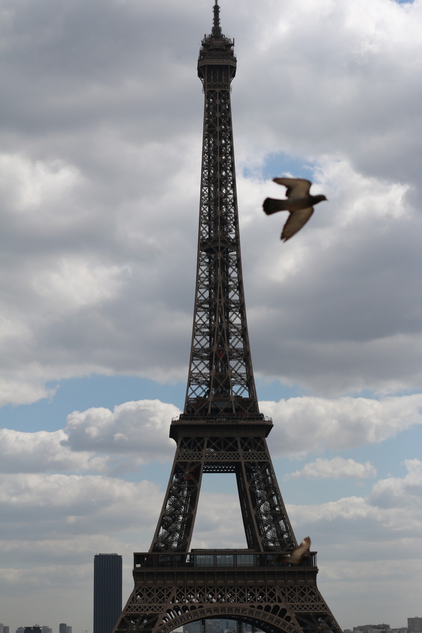 Paris Photo76
