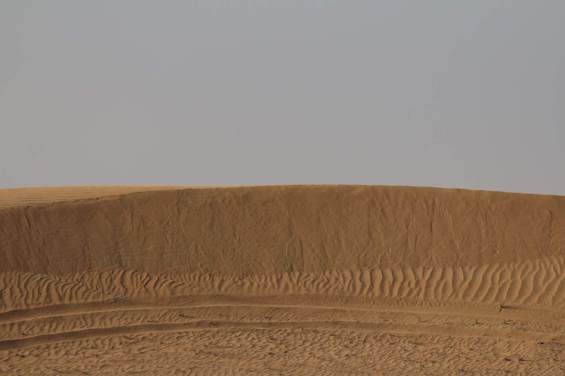 Dubai UAE Photo67