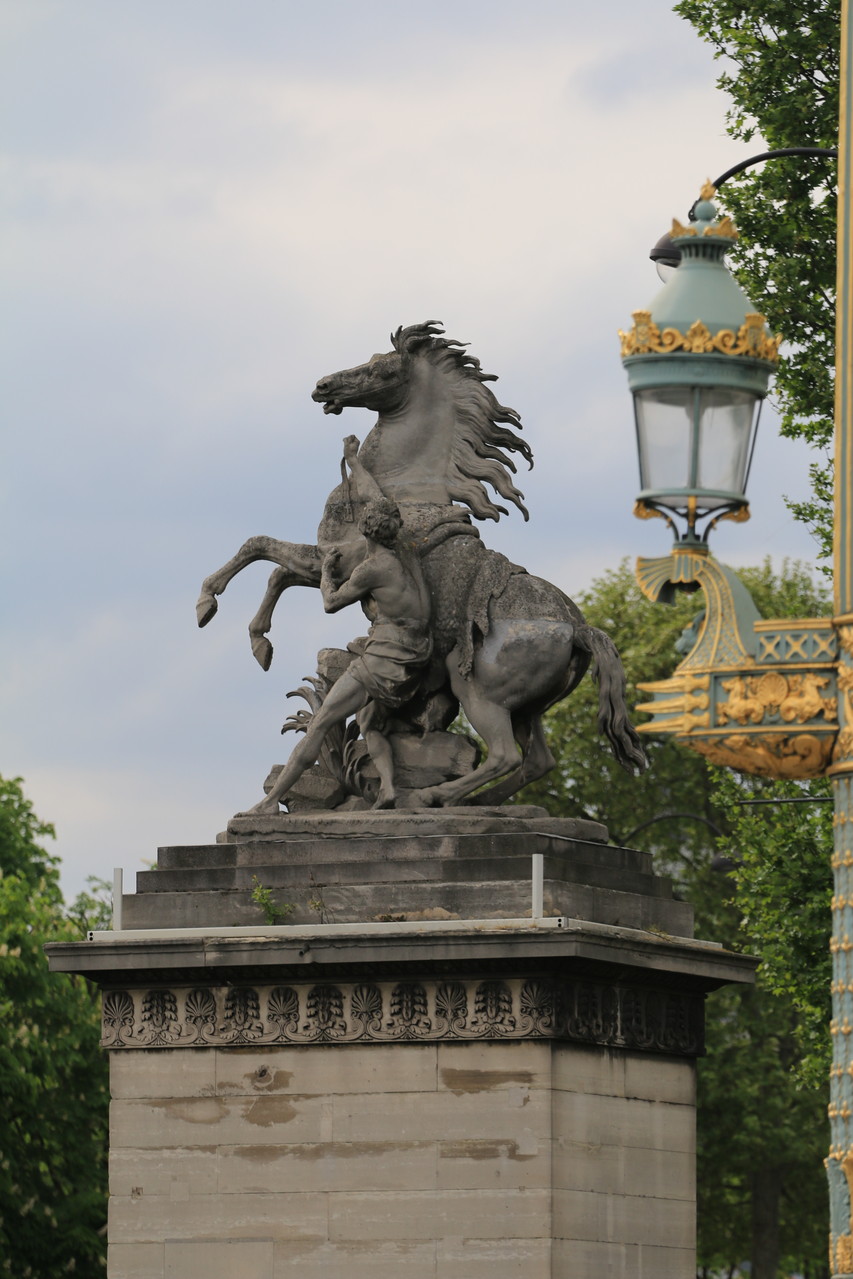 Paris Photo158