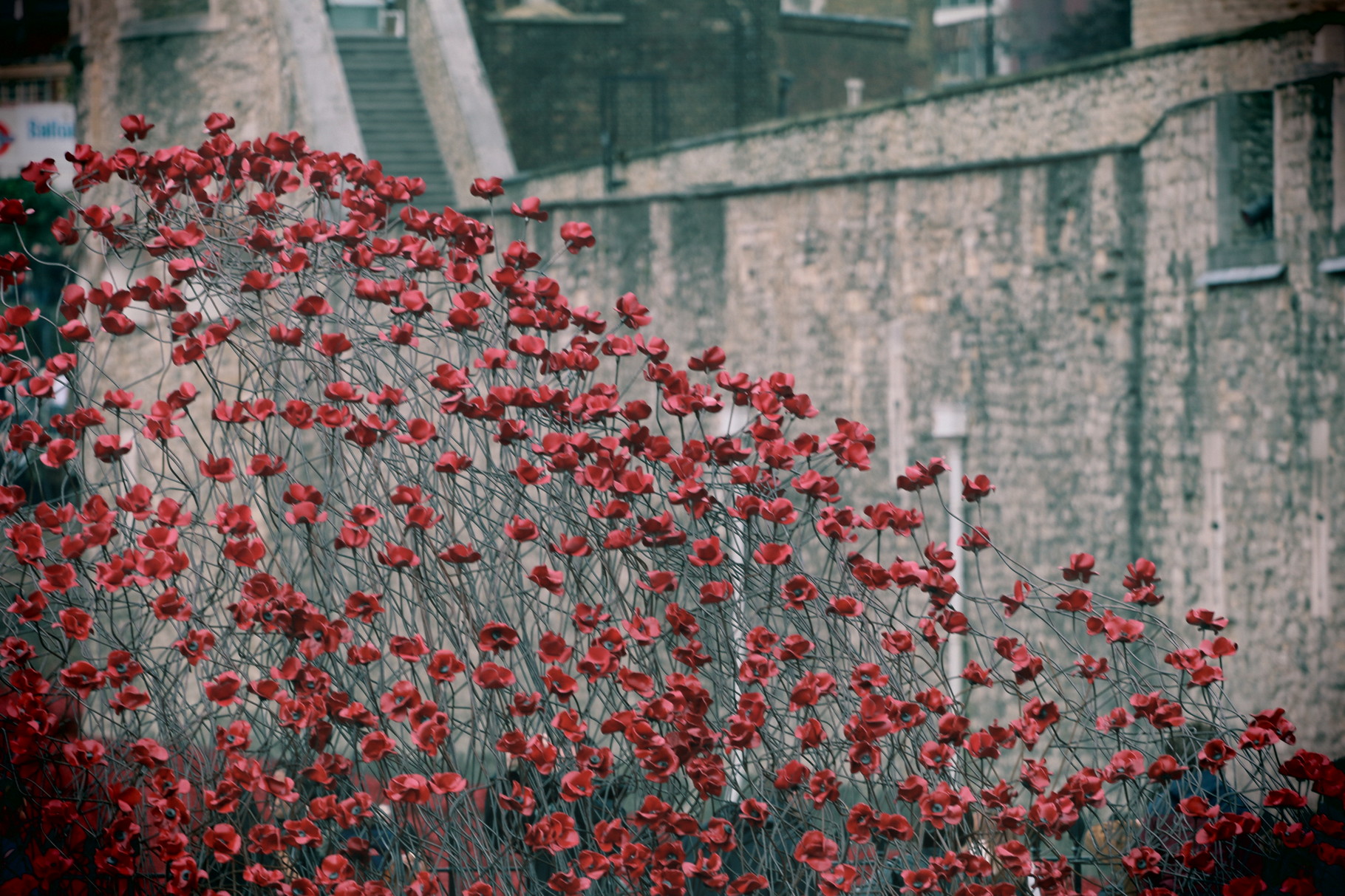 London Photo46