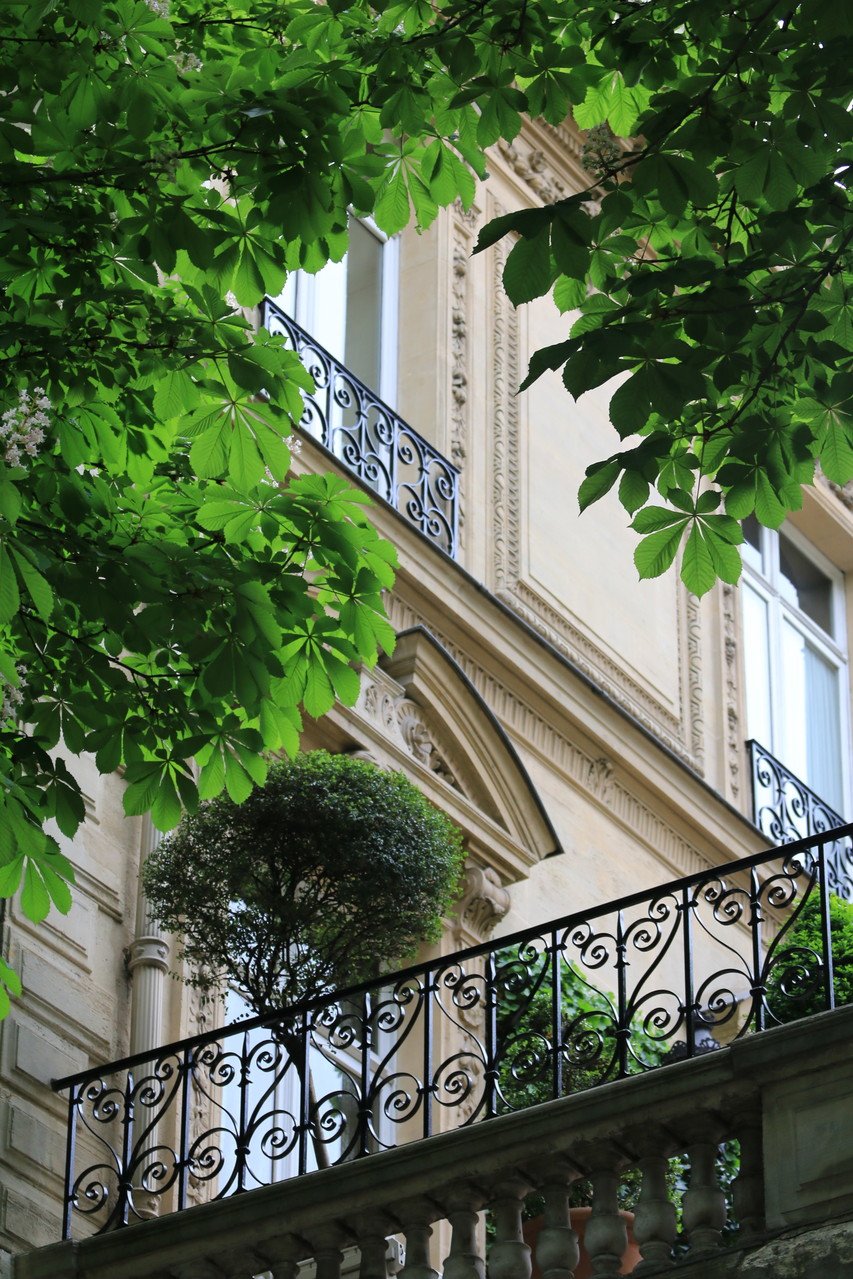 Paris Photo162