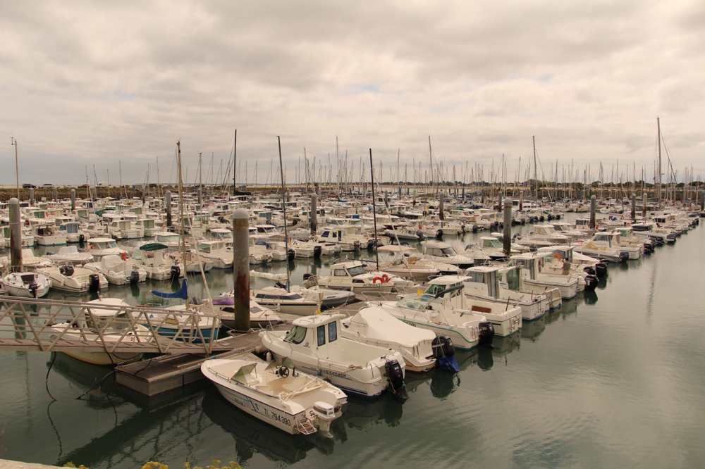 Ile d'Oleron Photo1