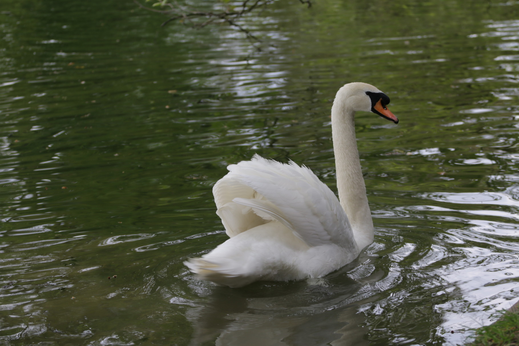 Paris Photo174
