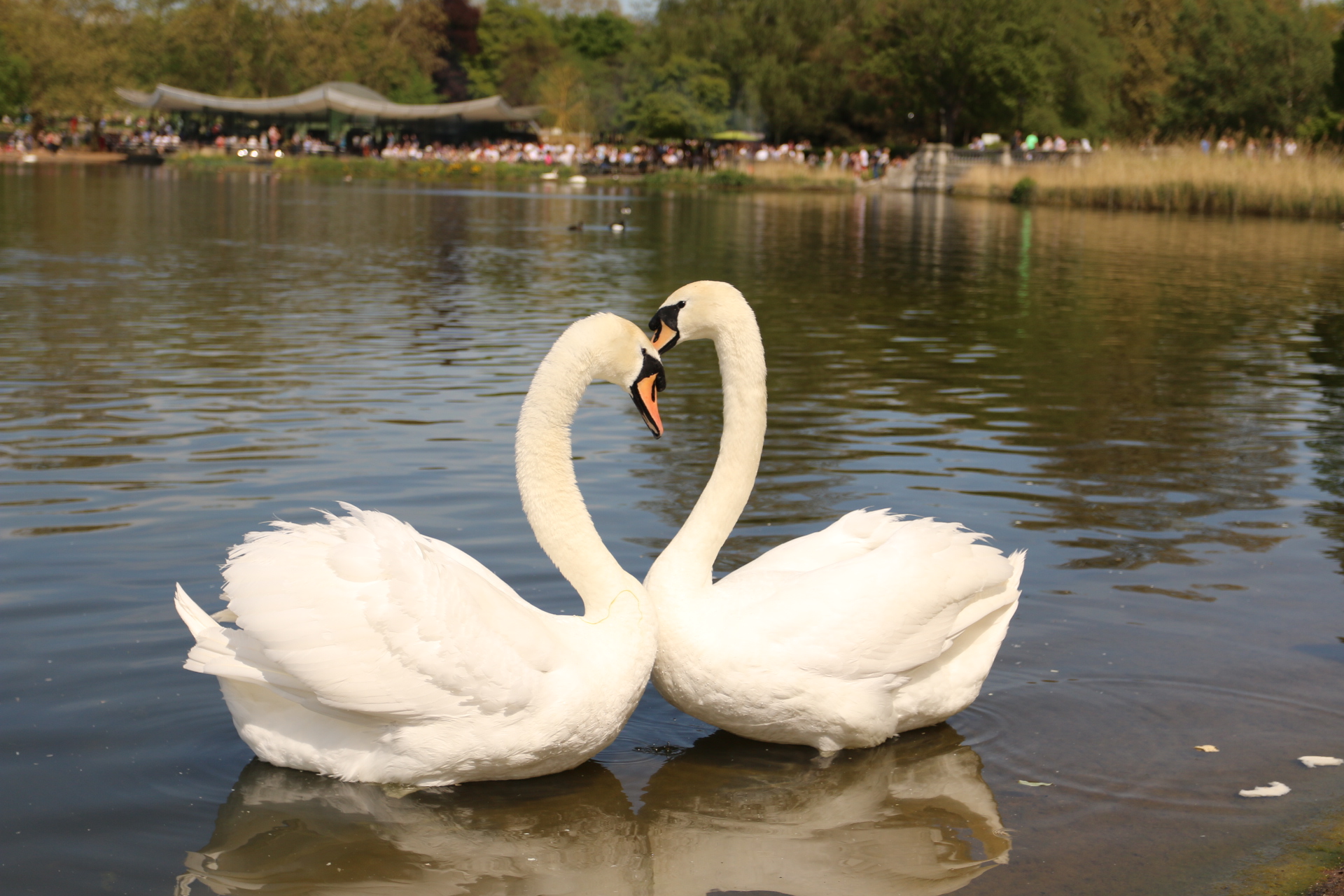 London Photo69