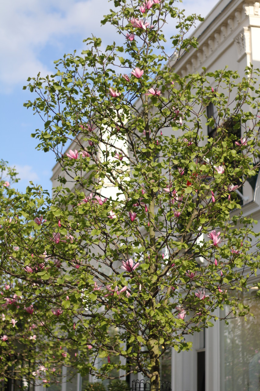 London Photo62