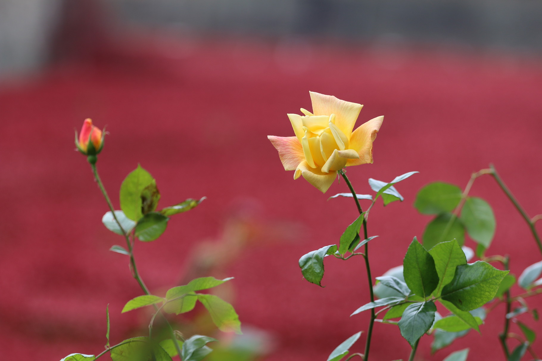 London Photo34