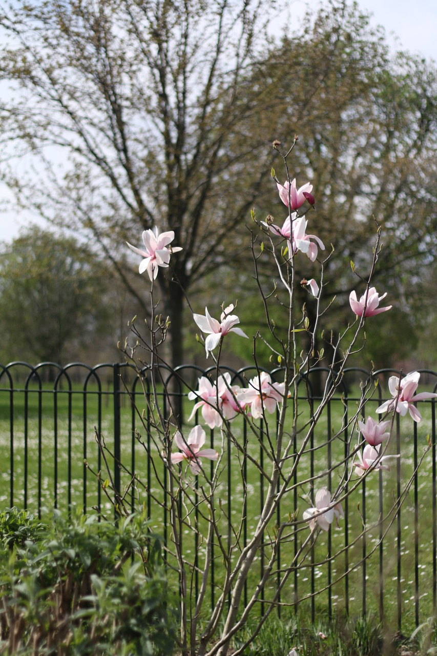 London Photo33