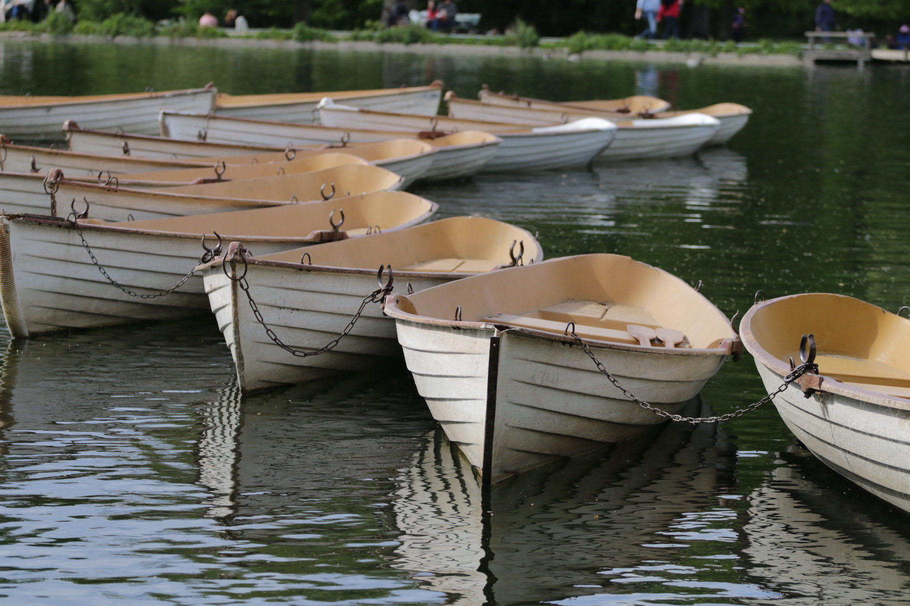 Paris Photo173