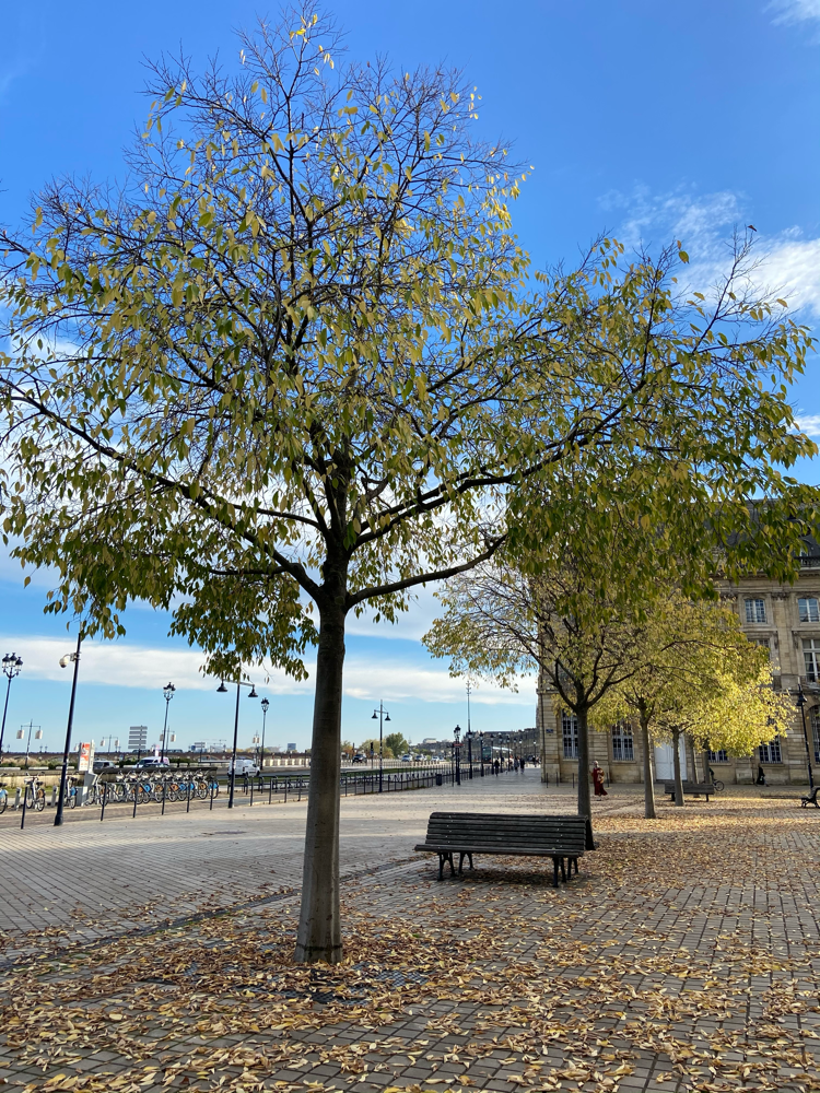 Bordeaux Photo45