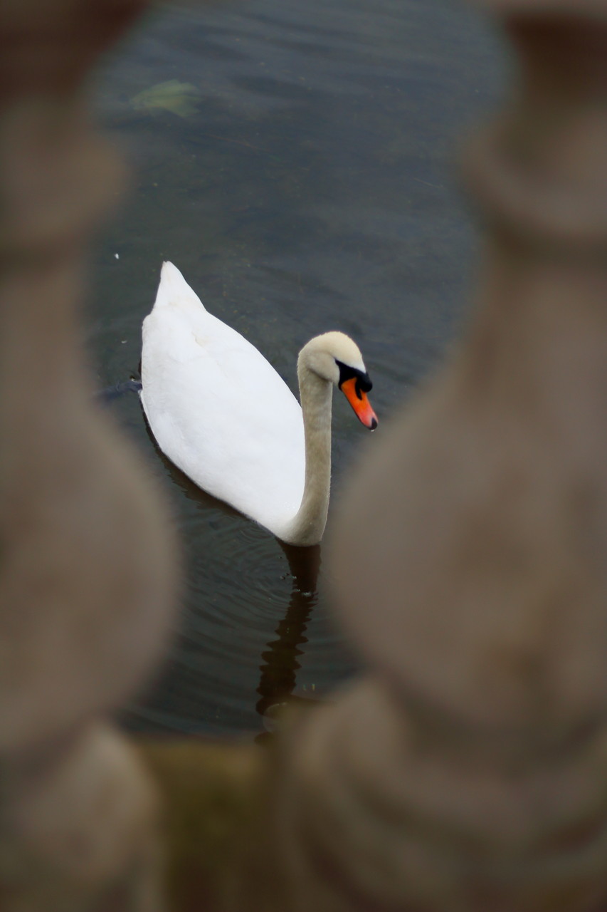 London Photo70