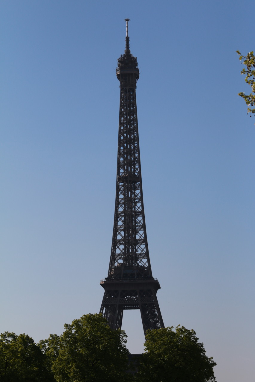 Paris Photo14